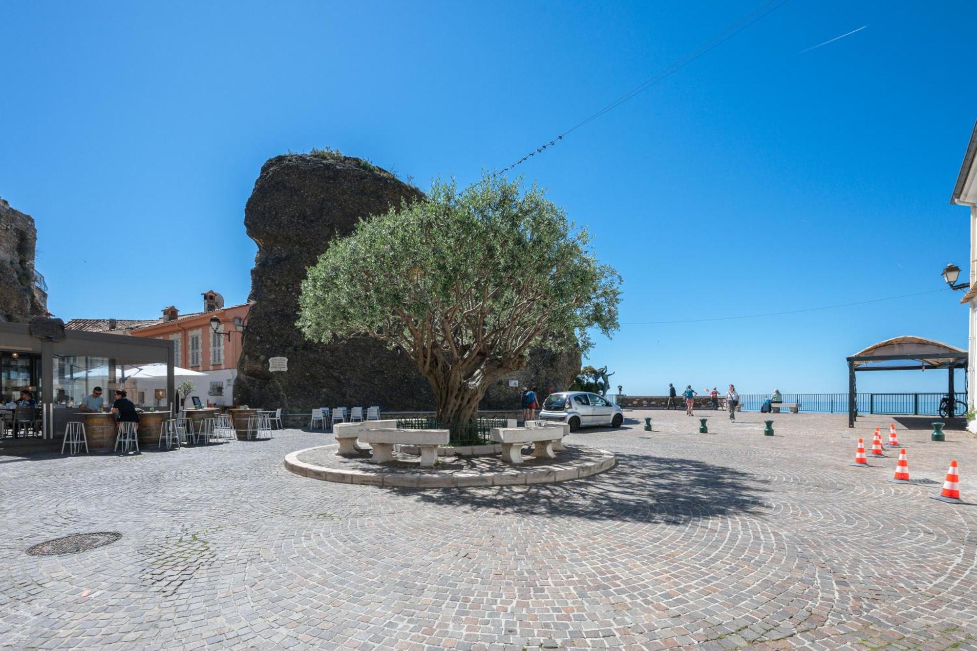 Le Coq Grimaldi - Wifi - Air Conditioning - Quiet Roccabruna Esterno foto